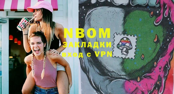 гидра Покачи