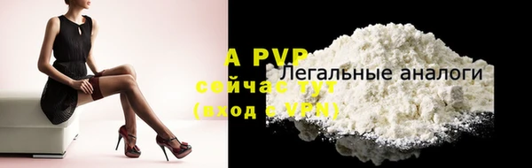 эйфоретик Беломорск