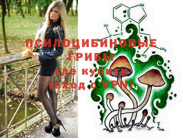 прущие крисы Белоозёрский