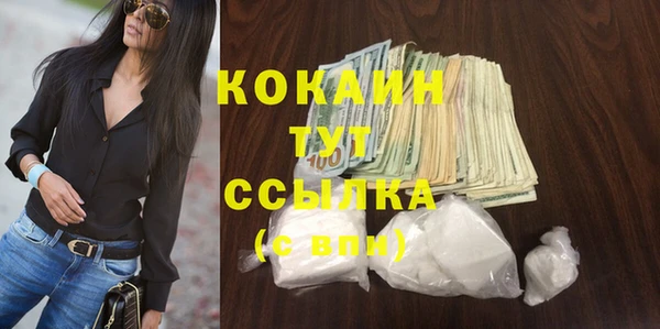 гидра Покачи
