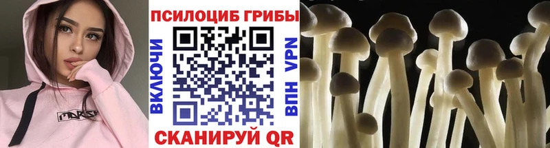 Галлюциногенные грибы Psilocybine cubensis  хочу   маркетплейс телеграм  Луховицы 