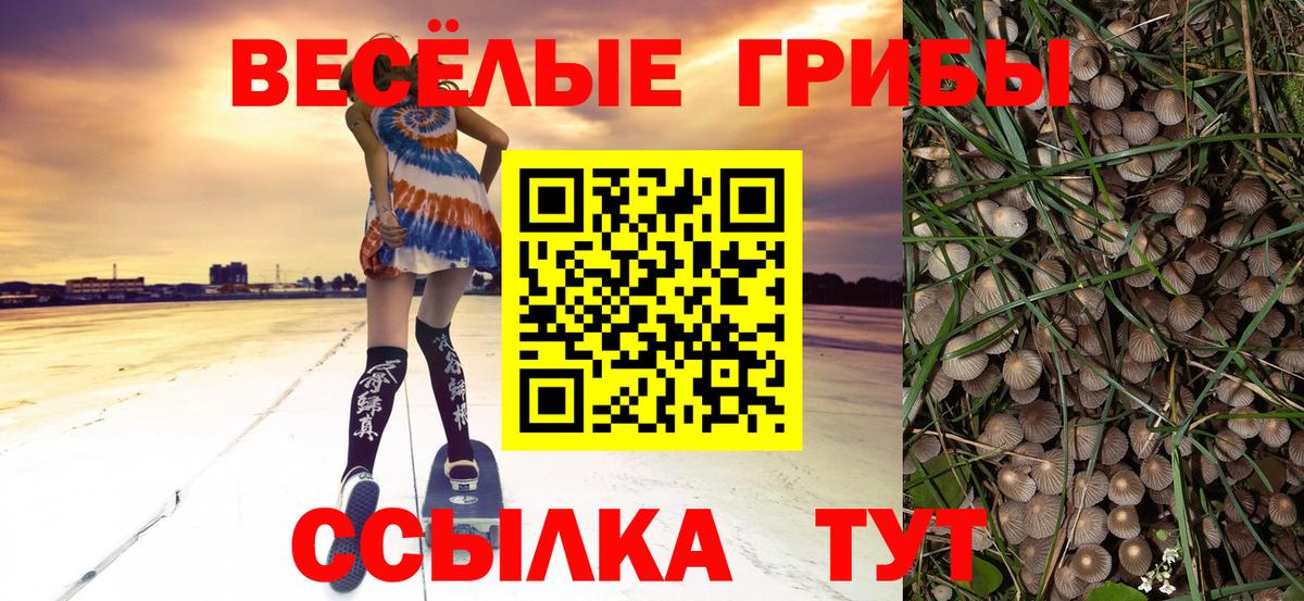 Псилоцибиновые грибы MAGIC MUSHROOMS  Вход с VPN  Луховицы 