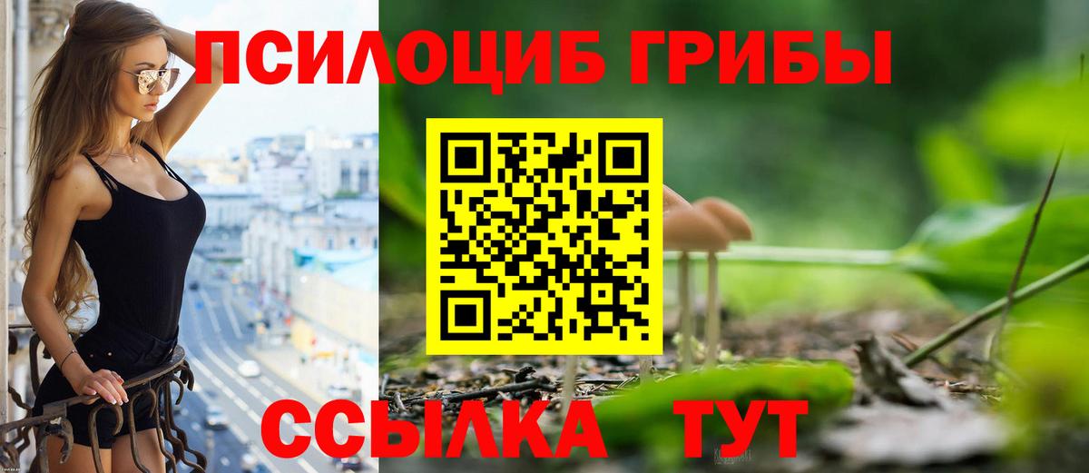 Галлюциногенные грибы Psilocybine cubensis Луховицы